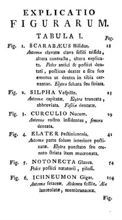 Explicatio figurarum Tabula I.