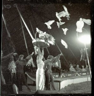 Circus Williams - Vorstellung - Tiere, ohne Ortsangabe, 1959