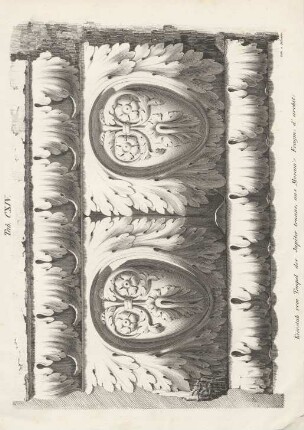 Tab. CXIV.