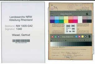 Entnazifizierung Gertrud Wiesel , geb. 17.03.1907 (Geschaeftsfuehrerin)