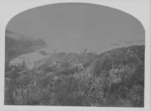 Auckland-Expedition 1874: Die Station mit der Landungsstelle an der Terror Cove : Aufn. 1874