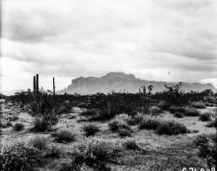 Die Superstition Mountains : Blick auf die Bergkette der Superstition Mountains.