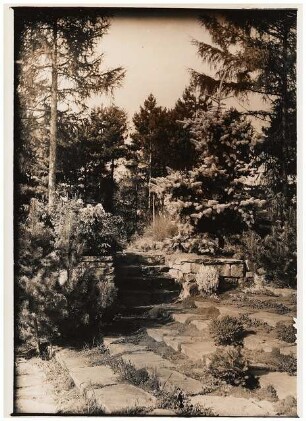 Garten Leo van den Bergh, Berlin-Kladow: Zwei Treppen
