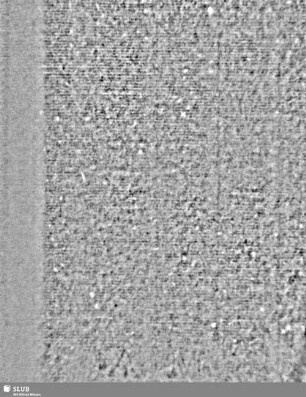 AM = S.5/6