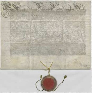 Kaiser Ferdinand II. erneuert und bestätigt das Privileg Kaiser Maximilian II. von 1576 Januar 10 für die Stadt Lüneburg. Eigenhändige Unterschrift.