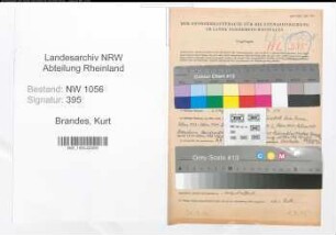 Entnazifizierung Kurt Brandes , geb. 25.04.1908 (Lehrer)