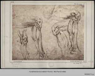Vier anatomische Studien männlicher Beine