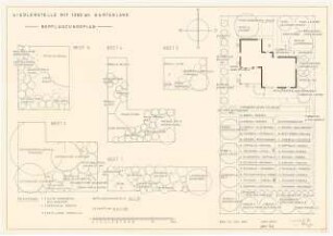 Siedlerstelle 1200 qm: Pflanzplan 1:100, Details 1:20