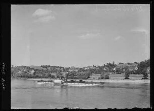 Kleinzadel. Blick auf Klein-Zadel - Elbe m. Dampfer Pillnitz
