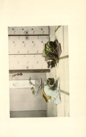 Ceremony on the arrival and departure of a guest