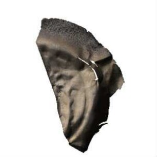 Fundmünze, Brakteat, 1230 - 1250?