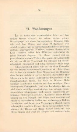 VI. Wanderungen