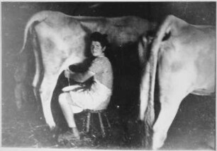 Frau beim Melken
