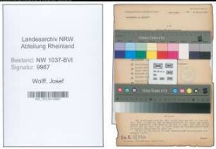Entnazifizierung Josef Wolff , geb. 21.01.1893 (Arzt)