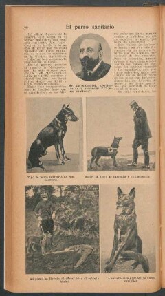 El perro sanitario