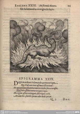 Emblema XXIX. De secretis Naturae.