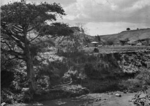 Farm : Blick über ein Flussbett auf eine Farm