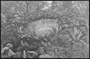 Portland, Oregon. Looking through the Grotto, City Park