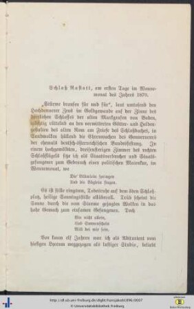 Auf der Festung. Erinnerungen eines badischen Staatsgefangenen.