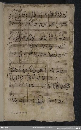 Salve regina