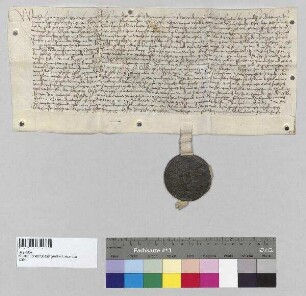 Sabina [Hauser], Äbtissin von Kloster Seligenthal, und der Konvent von Kloster Seligenthal verkaufen an Oswald Schalauner, wohnhaft bei der Pfettrach Brücke, Bürger zu Landshut, und seine Ehefrau Agnes eine Wiese, die außerhalb des Klosters Seligenthal liegt. S1: Sabina [Hauser], Äbtissin von Kloster Seligenthal, S2: der Konvent von Kloster Seligenthal