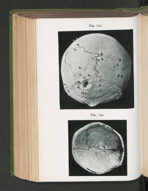Fig. 132. Fig. 133.