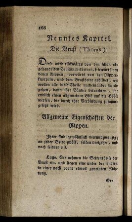 Neuntes Kapitel. Die Brust (Thorax).