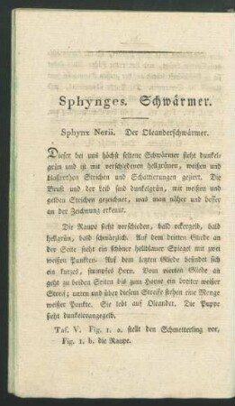 Sphynges. Schwaermer.