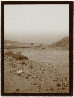 im wadi mhanwat [?] Blick n. N.