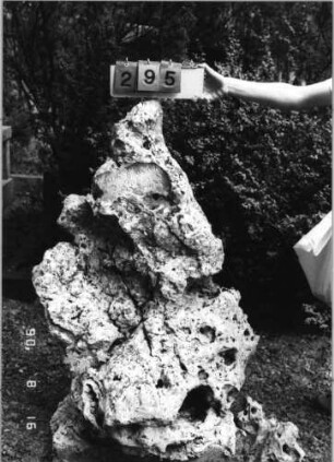 Grabstein 295 (Index: 99618415) Besonderheit: keine Maßangaben: Grabstein 295