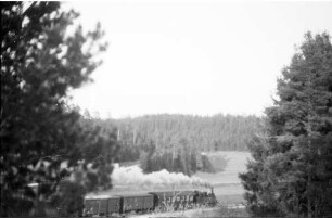Lok 12 bei Trochtelfingen, Trockental der Kuppenalb