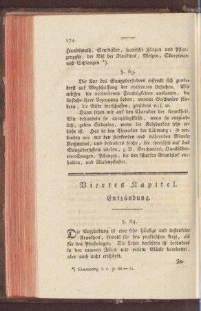Viertes Kapitel. Entzündung