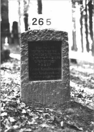 Grabstein 265 (Index: 99898593) Material: Sandstein Zustand: stark verwittert Maße HxBxT: 137x53x25 cm Beschreibung: aufgesockelte Stele mit Giebelaufsatz, im Giebelfeld Levitenkanne? Symbolik: Levitenkanne?: Grabstein 265