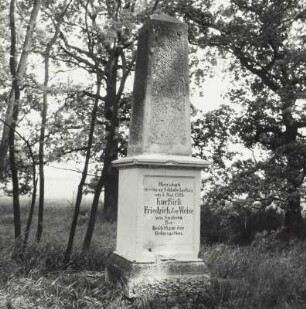 Denkmal für Friedrich den Weisen im Franzosenwinkel : Denkmal für Friedrich den Weisen im Franzosenwinkel