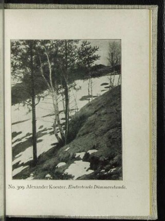 No. 309. Eintretende Dämmerstunde