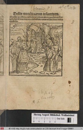De fide concubinarum in sacerdotes : Questio accessoria causa ioci et vrbanitatis in quodlibeto Heidelbergensi determinata/ quibusdam nouis additio[n]ibus denuo illustrata