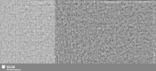 Lilienschild (gekrönt) / Ortsname? (Band 2, S. 201/202)