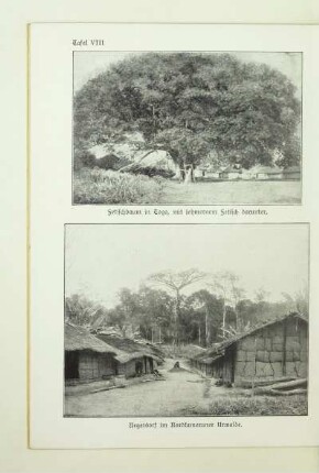 Fetischbaum in Togo