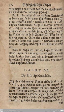 CAPUT VI. De Usu Spiritus Salis.