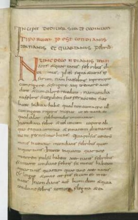 Fieberbuch, lat., z.T. nach Galenus (unvollst.)
