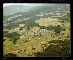 Schönwald im Schwarzwald