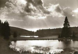 Erzgebirge. Schwemmteiche an der Straße Sayda - Neuhausen