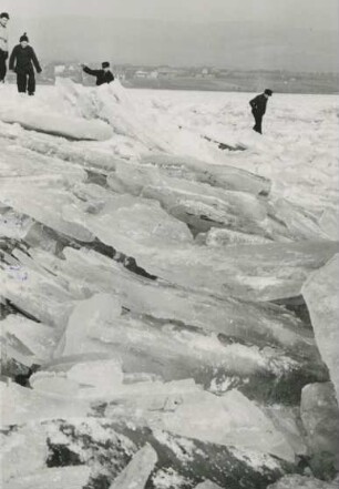 Eisschollen 1954 im Hafen Frei-Weinheim/Rhein