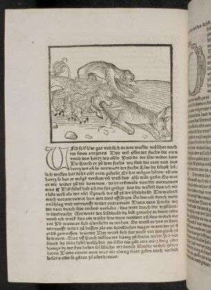 Der Löwe reißt den Esel im Beisein eines Affen; (Kapitel VI): Von dem Affen und der Schildkröte).