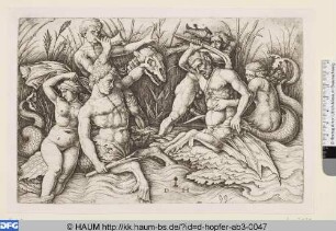 Tritonenkampf: Kampf zwischen zwei Tritonen