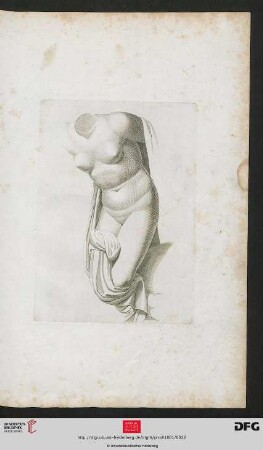 [Taf. 21] [weibl. Torso (Schraffur)]