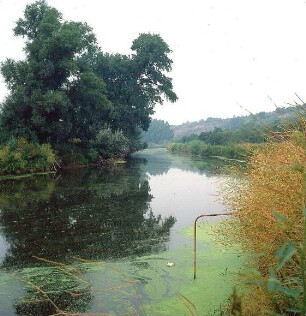 Metallrohrleitung in der Unstrut