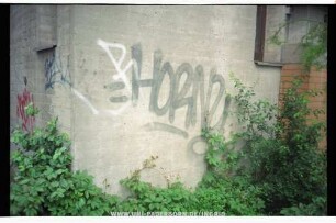 "HORNY | R | REAL