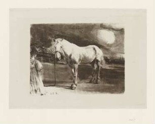 Schimmel mit Mädchen