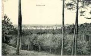 Blick auf die polnische Stadt Osieczna
